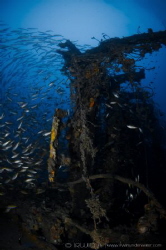 G H O S T - W R E C K 
Ghost Wreck / Fish Ball
Lang Ten... by Irwin Ang 